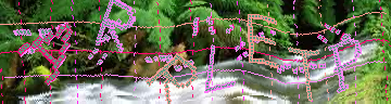 Code de confirmation
